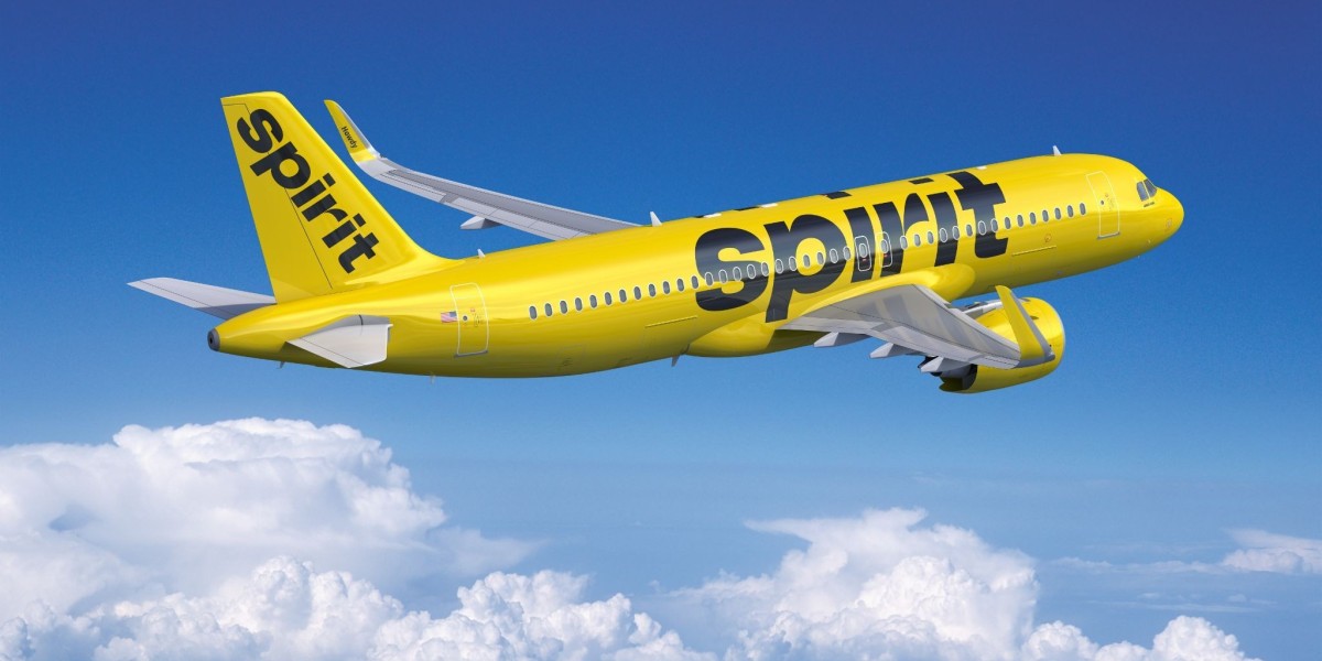 Spirit Airlines Baggage Fees 2024